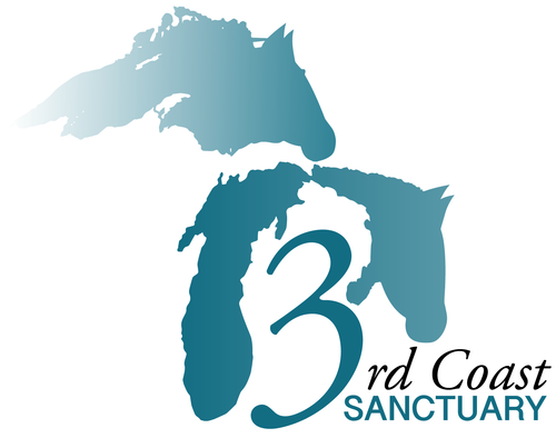 3rd Coast Sanctuary Shop to #saveahorse logo