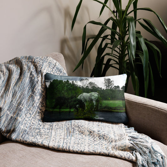 Throw pillow featuring fine art photography by Jennifer Glassman