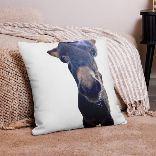 The MDGY Pillow