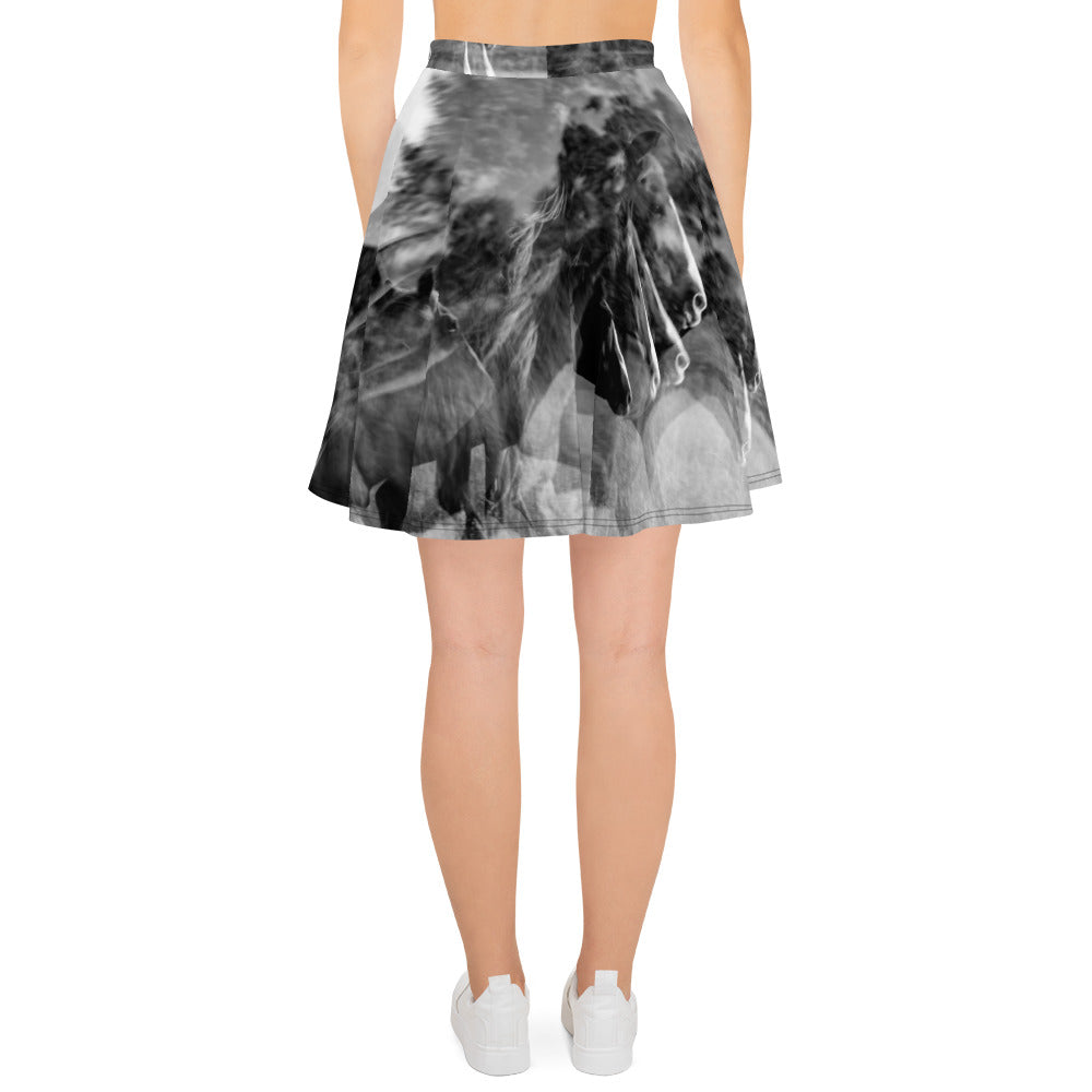 Chasing Fences Twirl Skirt