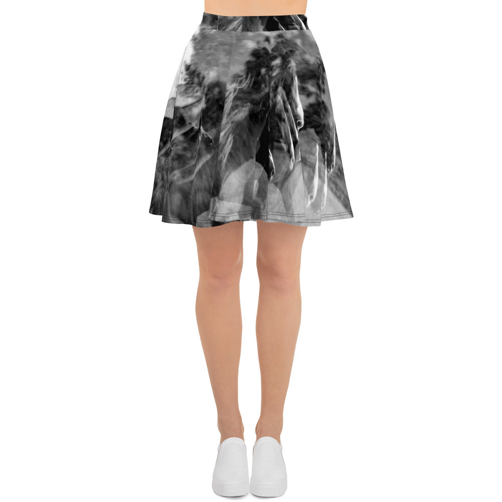 Chasing Fences Twirl Skirt