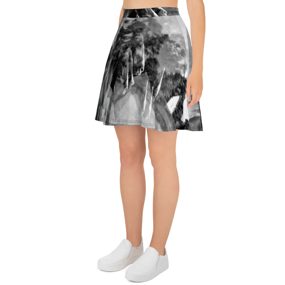 Chasing Fences Twirl Skirt